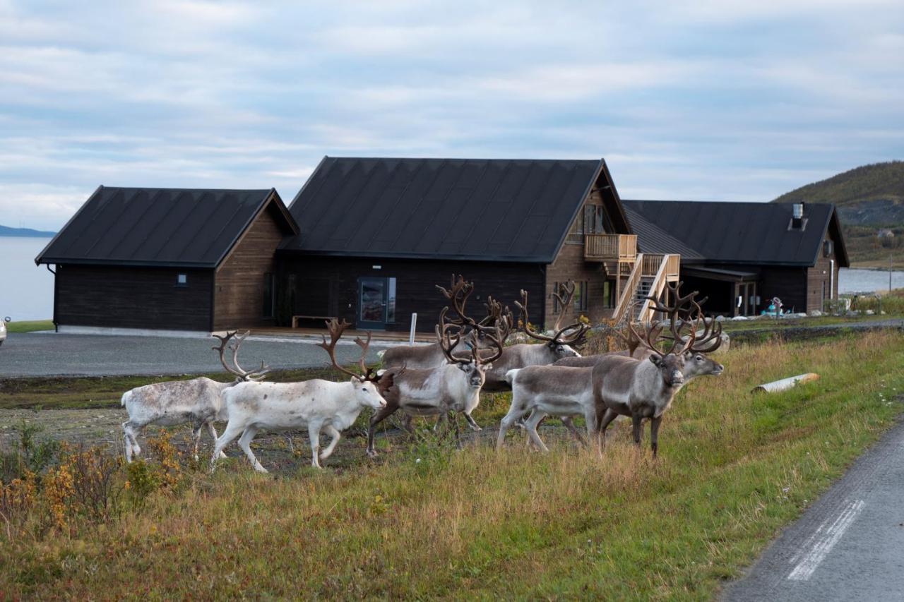 Lyngen Experience Lodge Nord-Lenangen Extérieur photo